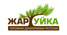 Жартуйка