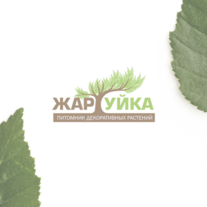 product placeholder Image